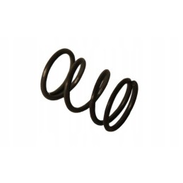 Bizon spyruoklė su 056 p4 agtech lock guoliais