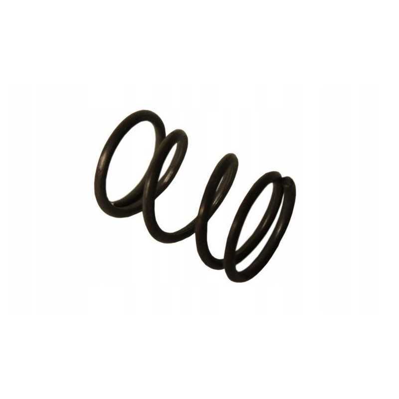 Bizon spyruoklė su 056 p4 agtech lock guoliais