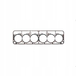 Galvutės tarpiklis juodo bizono kelias