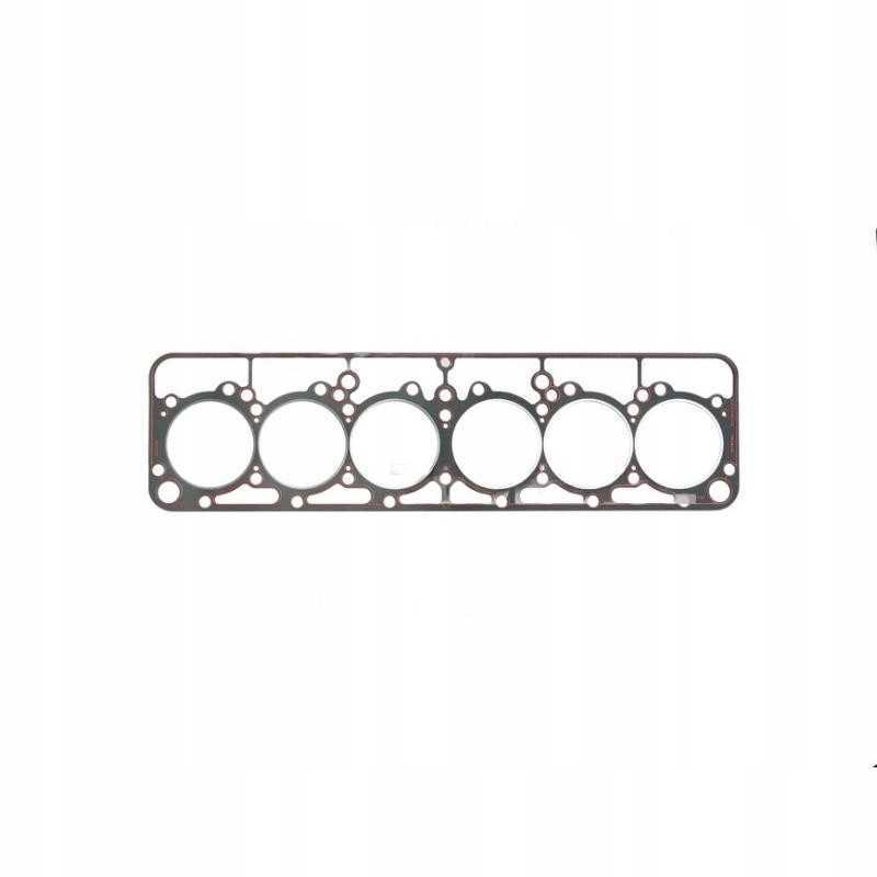 Galvutės tarpiklis juodo bizono kelias