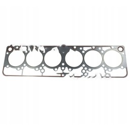 Galvutės tarpiklis juodo bizono kelias