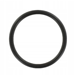 O-žiedo sandariklis