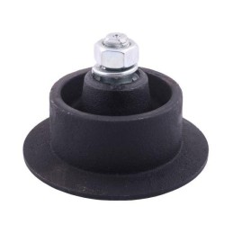 Pirštų juostos ritinys, lenkiški guoliai, Anna Warynski