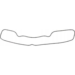 Išmetimo kolektoriaus tarpinė