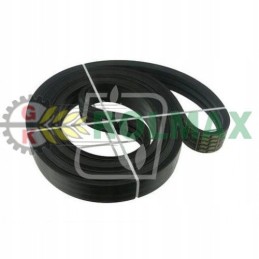 Pas 3hb droninngborg mf d41979200