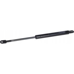 Dujinė spyruoklė vpm1863