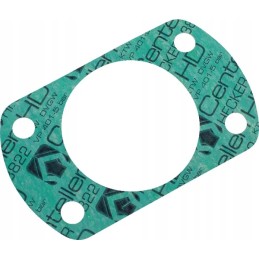 Kuro įpurškimo siurblio tarpinė