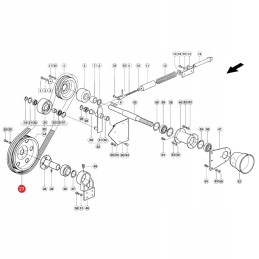 Claas 1424253 Gates V formos diržas