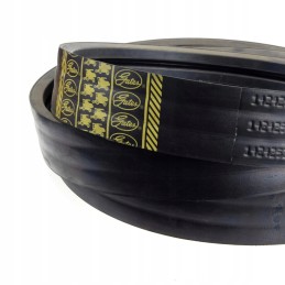 Claas 1424253 Gates V formos diržas