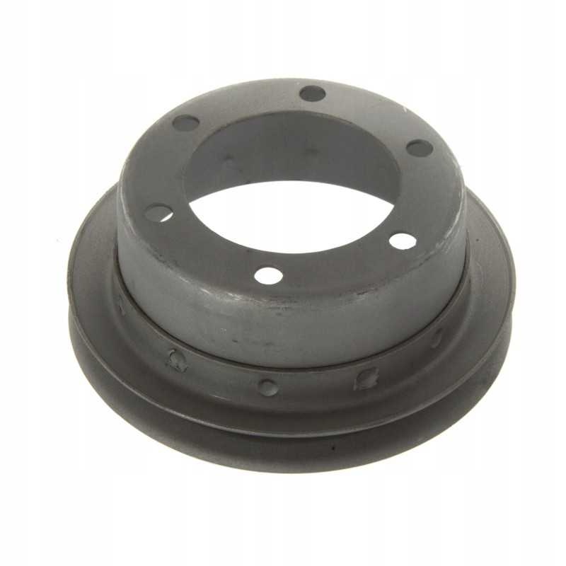 Žemo vandens siurblio skriemulys bizon pl601212