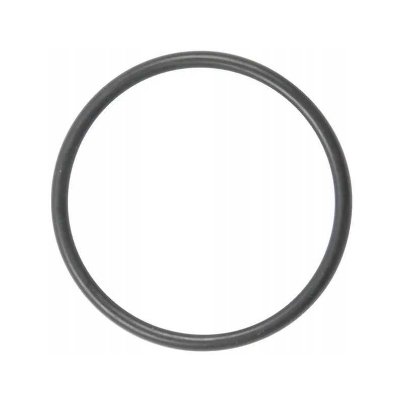 Pierscien 3019922x1 kramp