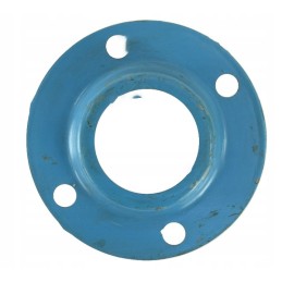 Stumbro guolių korpusas 505004015