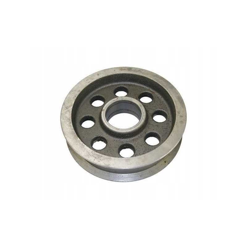 Bizon grūdų padavimo įtempiklio diskas