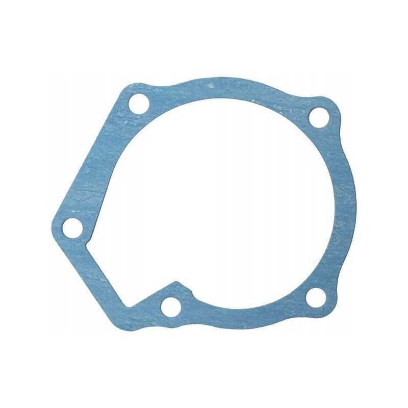 Vandens siurblio sandariklis