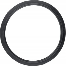 Išmetimo sandariklis tinka Bison