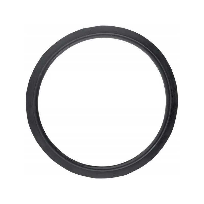 Išmetimo sandariklis tinka Bison