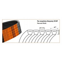 Kombaino diržas 84072772