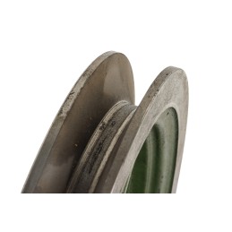 Grūdų skriemulys III Bizon z 056 z 058