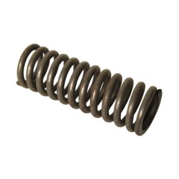 Bizon p5 spyruoklė 504003047 ilgis 80mm agtech