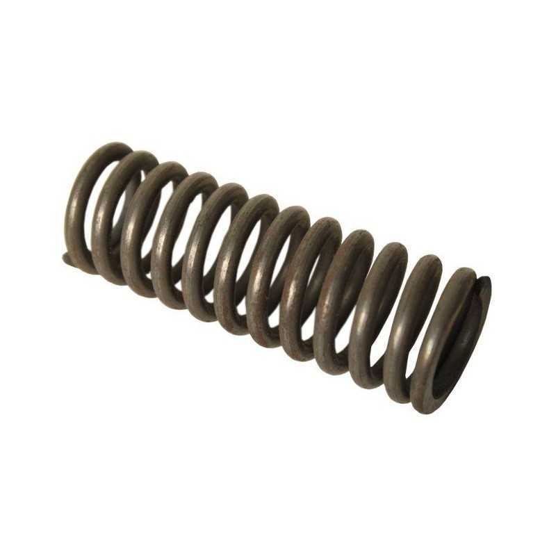 Bizon p5 spyruoklė 504003047 ilgis 80mm agtech