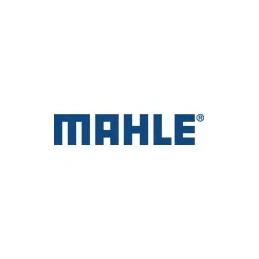 Mahle švaistiklio guoliai C 360