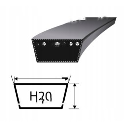 V formos diržas geltonas bizonas h20 3010