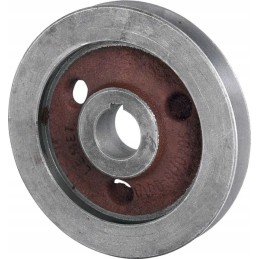 Sraigto skriemulys tinka bizonui