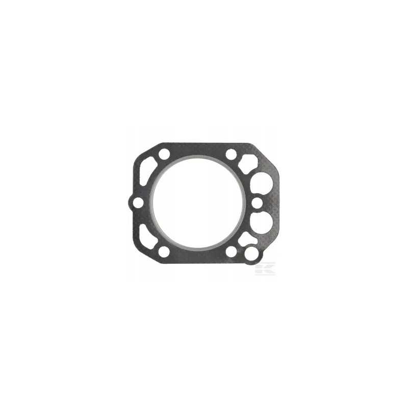 Variklio galvutės tarpinė