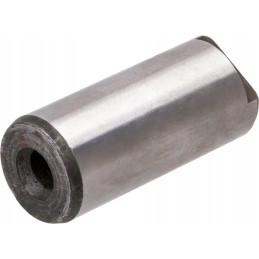 Sukimo momento daugiklio palydovinis kaištis