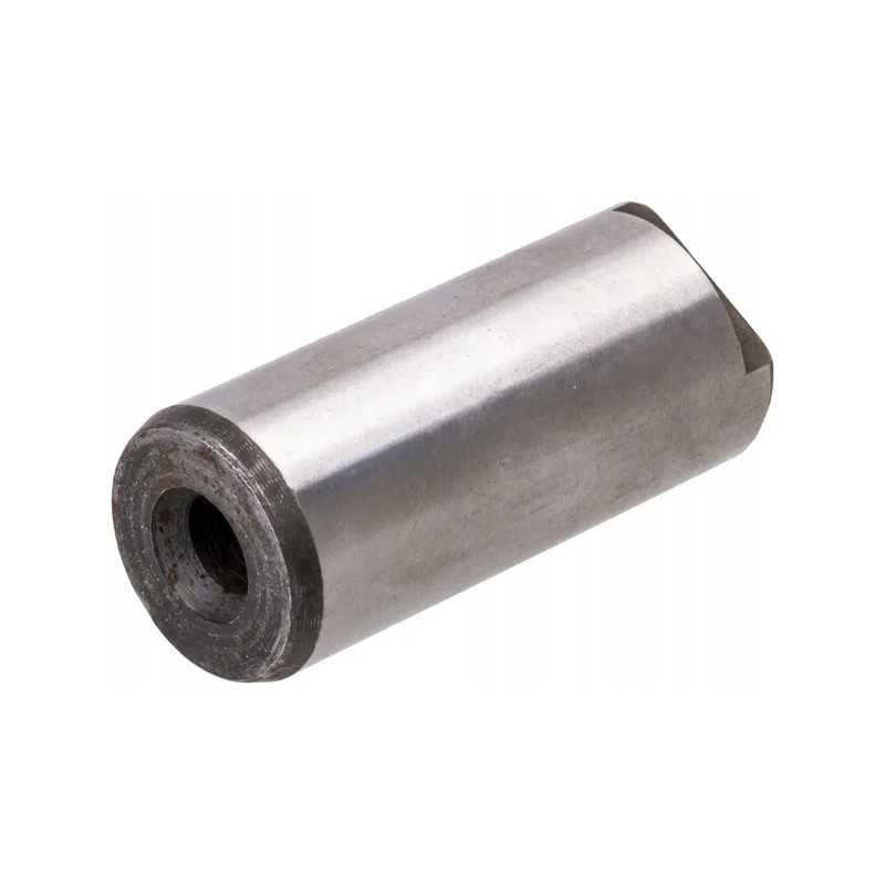 Sukimo momento daugiklio palydovinis kaištis