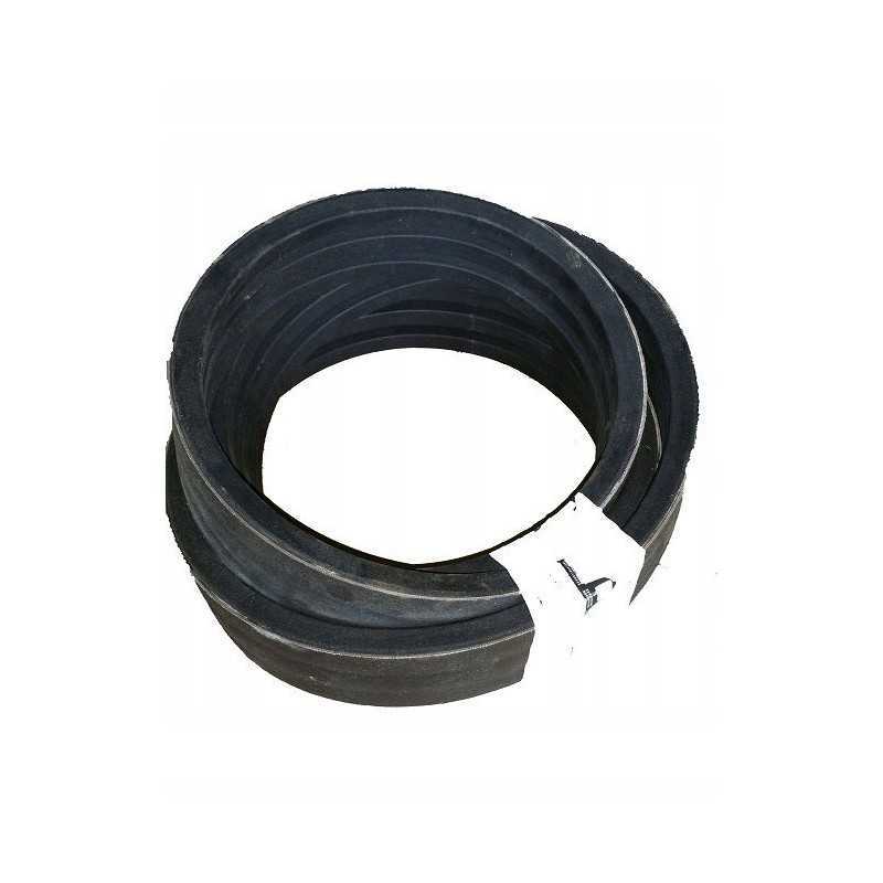 Pas 2hb dronningborg d41992000