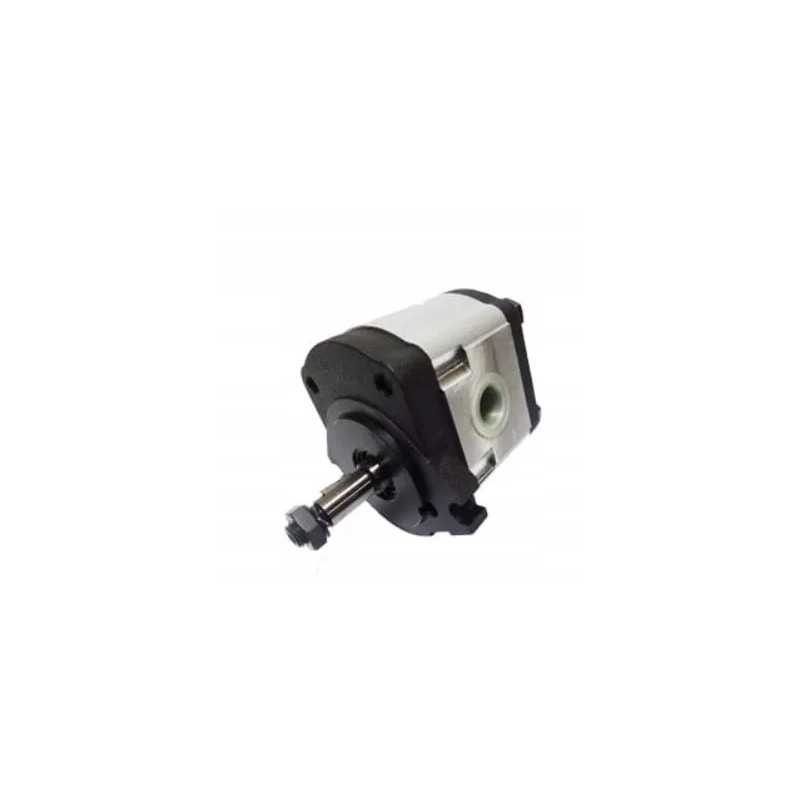 Hidraulinis siurblys Renault Claas 6005020868