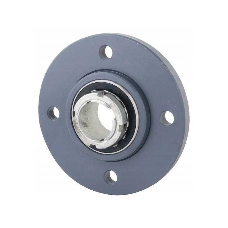 Guolis su korpusu 30 x 130 mm