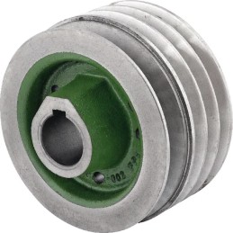 Deflektoriaus skriemulys tinka Bison