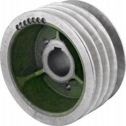 Deflektoriaus skriemulys tinka Bison