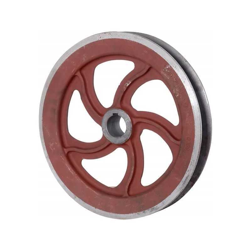 Sankabos skriemulys tinka Bison