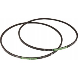 Diržų rinkinys 2 vnt avp10 x696614802000ab optibelt