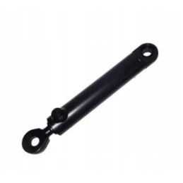 Vairo stiprintuvo variklis 5189995