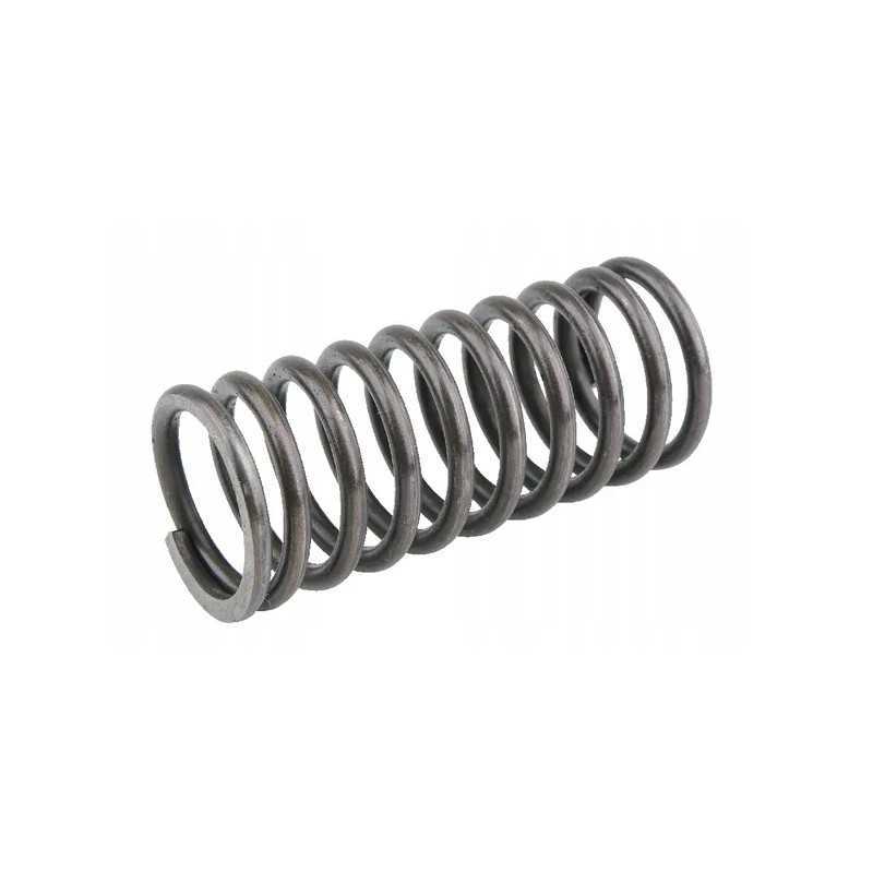 Vidinė vožtuvo spyruoklė tinka Baltarusijai