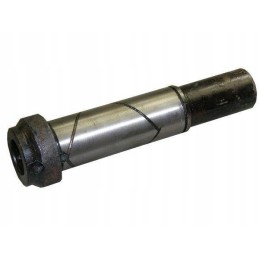 Variklio akceleratoriaus cilindras naujo tipo Bison