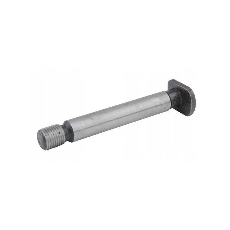 Smagračio kaištis tinka Baltarusijai