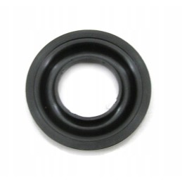 Stumbro guolio dangtis