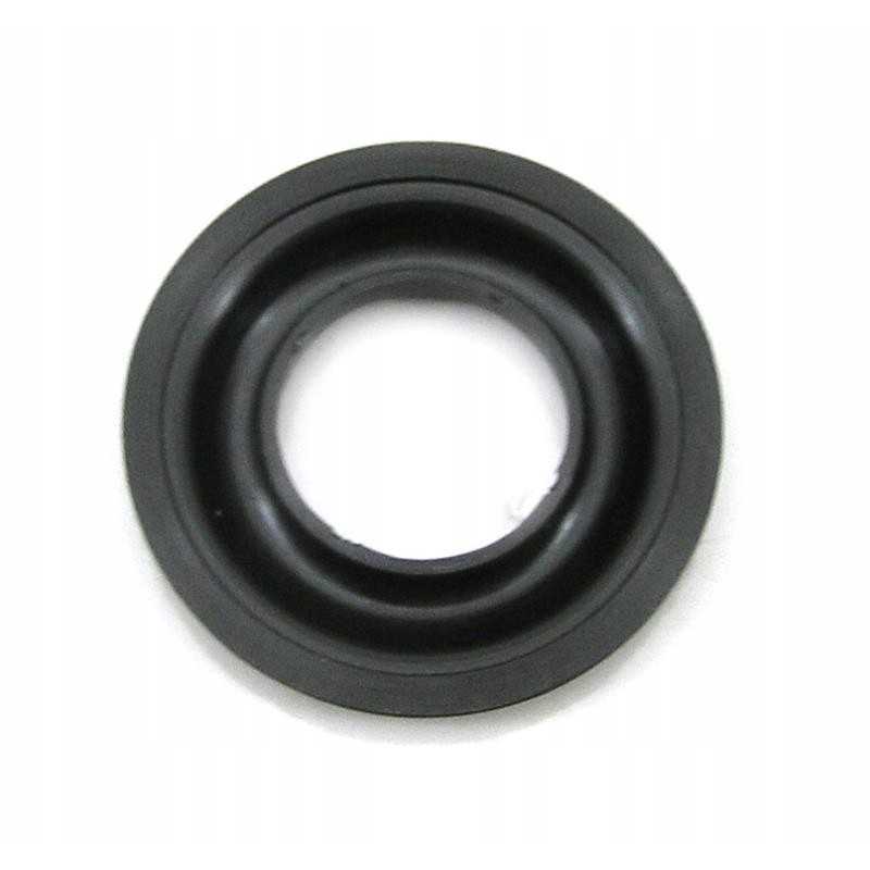 Stumbro guolio dangtis