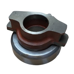 Sankabos atleidimo guolis a252219y su bizono rankove