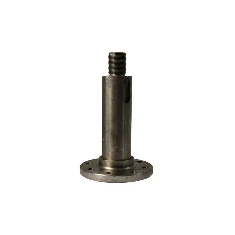 Bison sankabos kaištis 5040250250