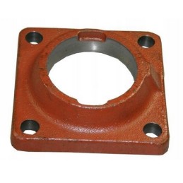 Bison dalgio pavaros veleno guolio korpusas