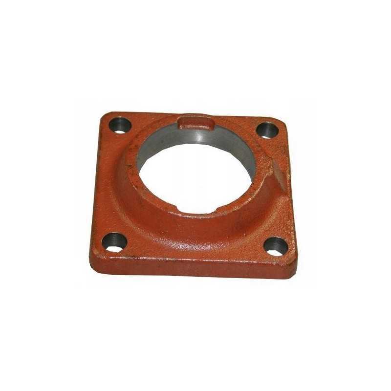 Bison dalgio pavaros veleno guolio korpusas