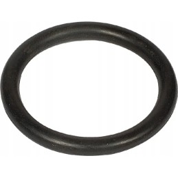 Žiedas arba žiedas