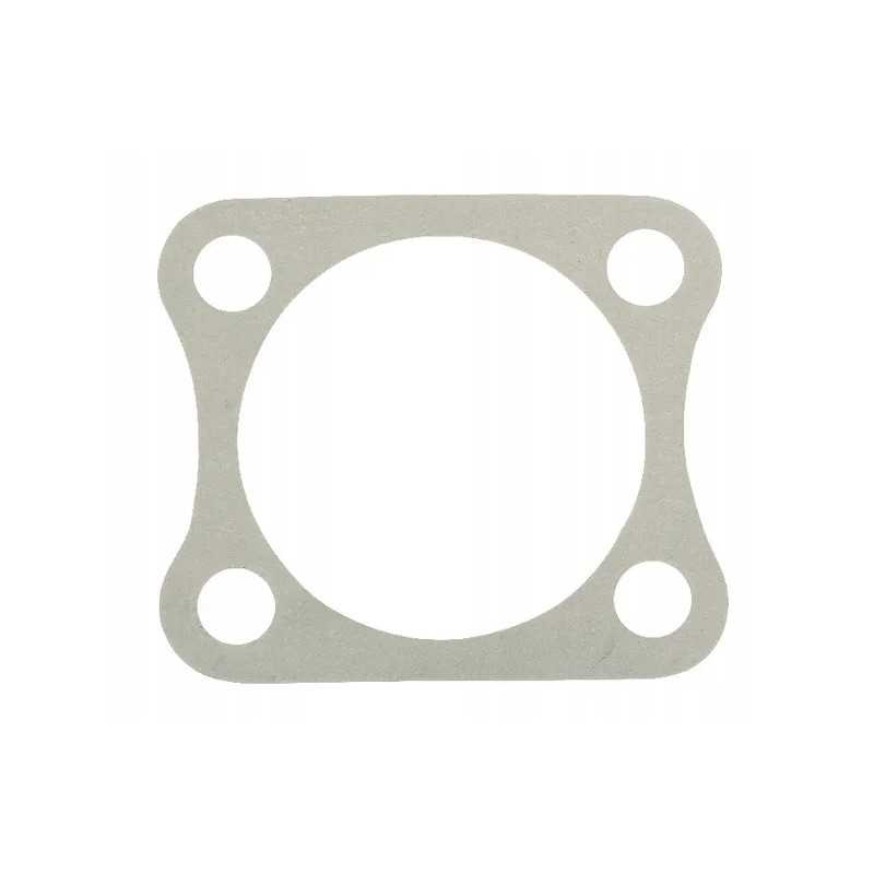 Flanšo tarpinė tinka Baltarusijai