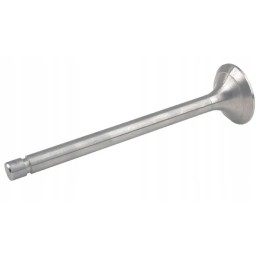 Išmetimo vožtuvas tinka Baltarusijai